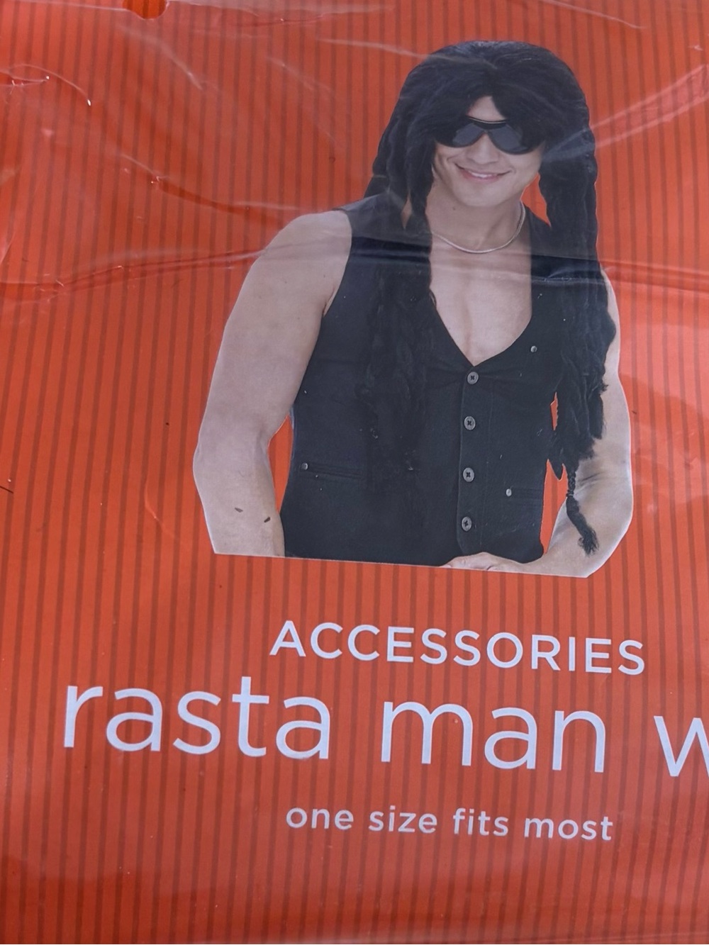 Rasta Man Wig Accessory - Black